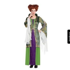Hocus Pocus Winnie Sanderson Costume!